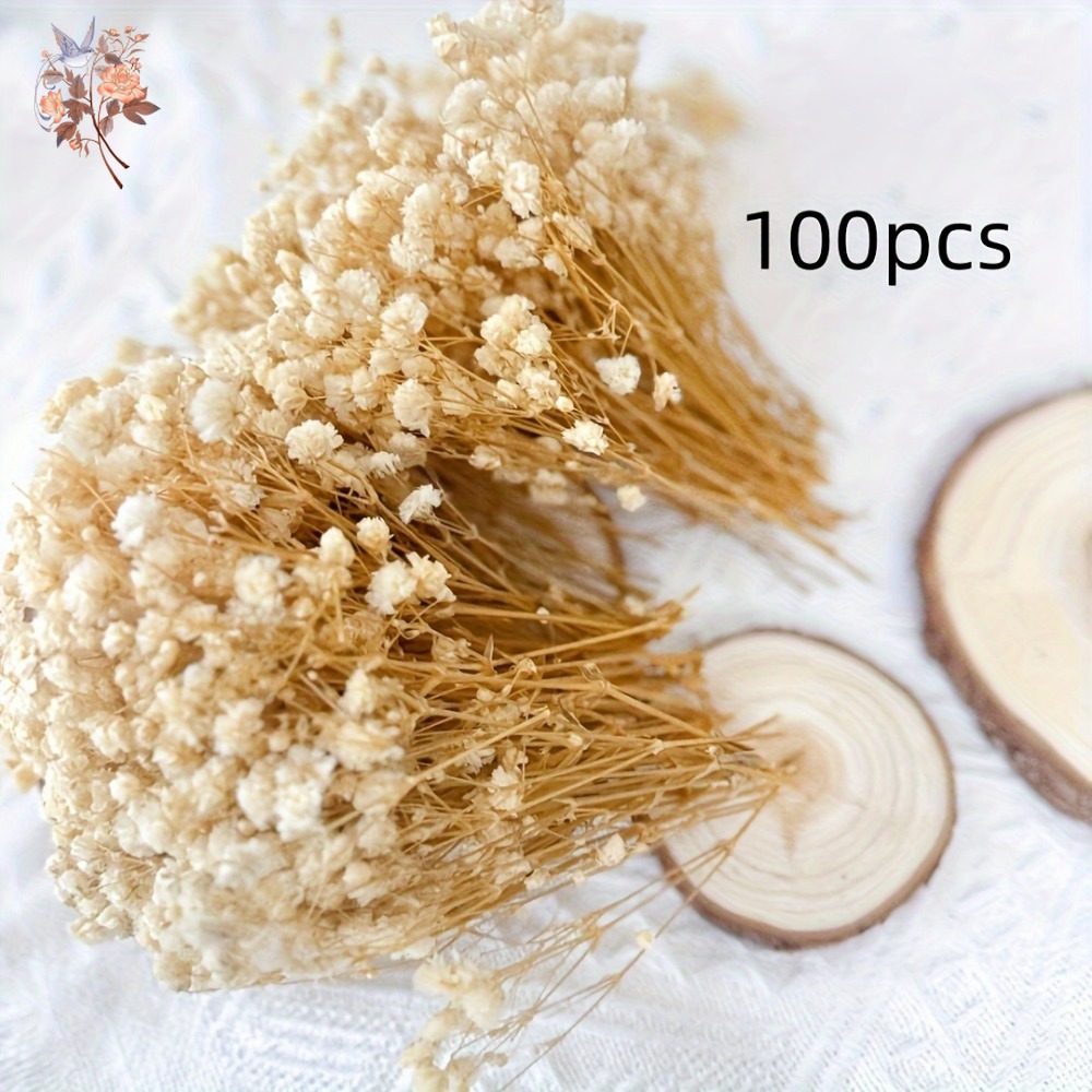 100pcs Mini Dried Baby's Breat - огляд і ціна Craft Embellishment