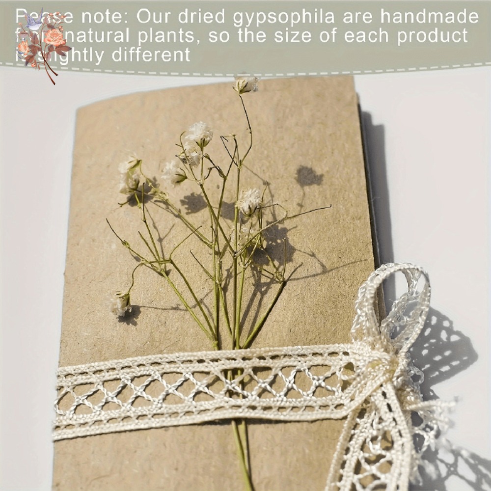 100pcs Mini Dried Baby's Breat - огляд і ціна Craft Embellishment